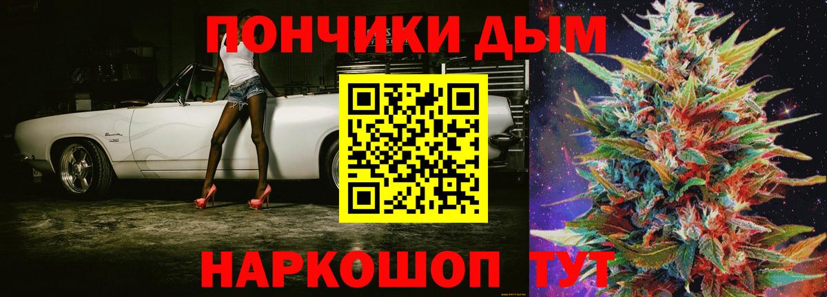Канабис планчик Сибай